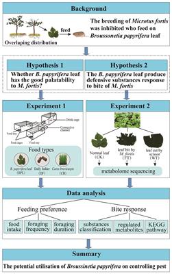 The feeding preference and bite response between Microtus fortis and Broussonetia papyrifera